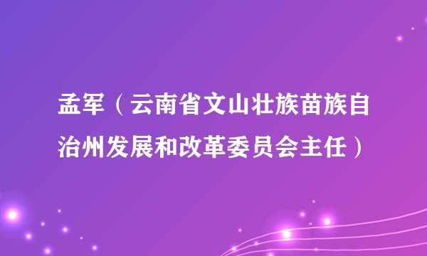 孟军（云南省文山壮族苗族自治州发展和改革委员会主任）