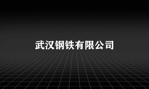 武汉钢铁有限公司