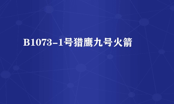 B1073-1号猎鹰九号火箭