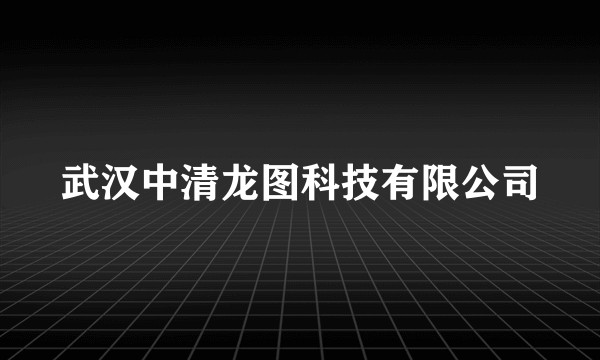 武汉中清龙图科技有限公司