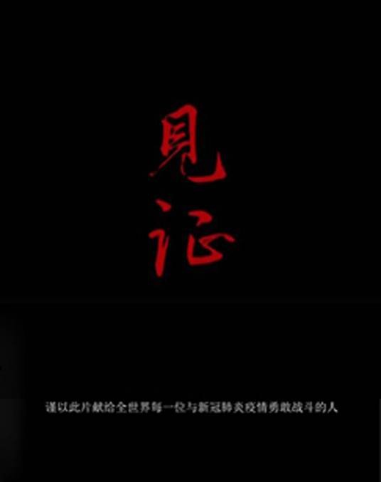 见证（2020年鲁澧、 姚军执导的纪录片）