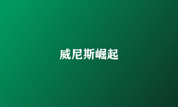 威尼斯崛起