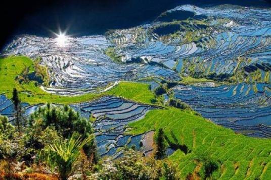 撒玛坝万亩梯田景区