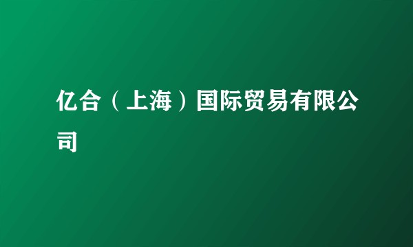 亿合(上海)国际贸易有限公司