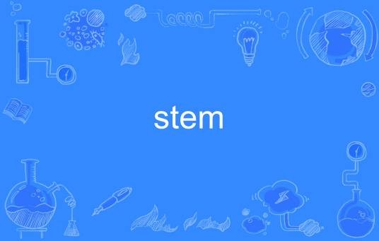 stem（英语单词）