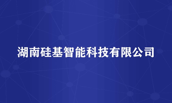 湖南硅基智能科技有限公司
