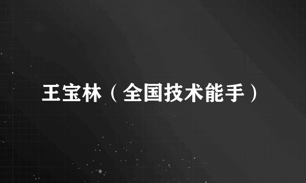 王宝林（全国技术能手）