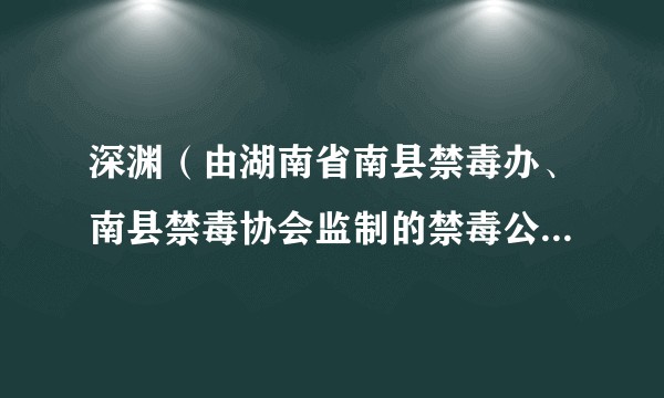 深渊（由湖南省南县禁毒办、南县禁毒协会监制的禁毒公益微电影）