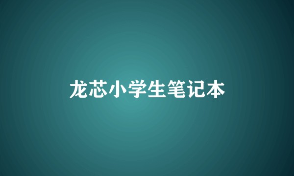 龙芯小学生笔记本