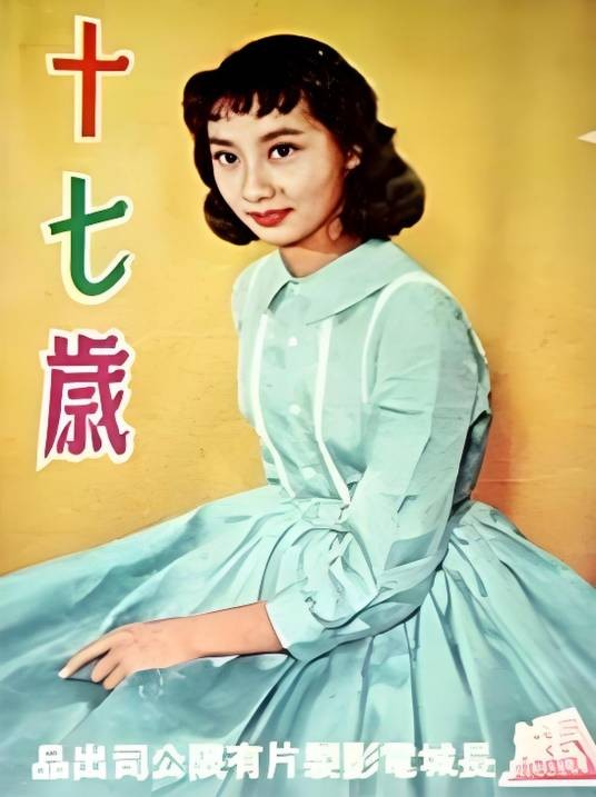 十七岁（1960年胡小峰导演剧情历史电影）