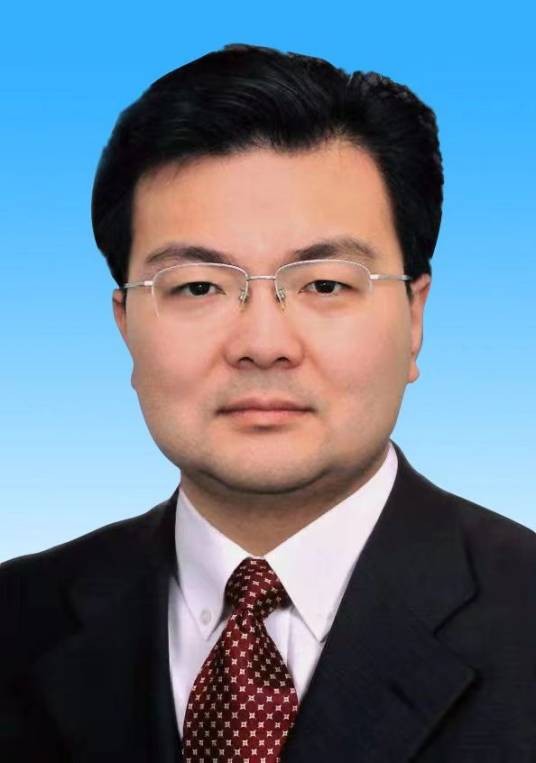 张炳南(中国林业集团有限公司党委副书记、董事)