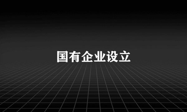 国有企业设立
