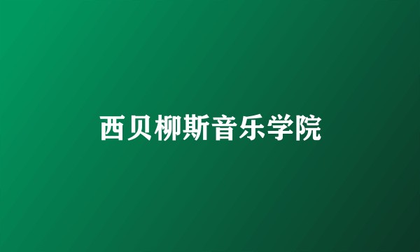 西贝柳斯音乐学院