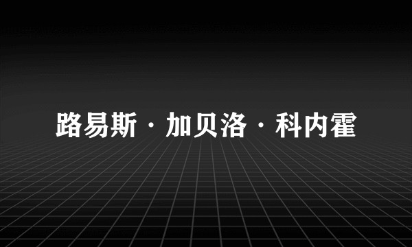 路易斯·加贝洛·科内霍