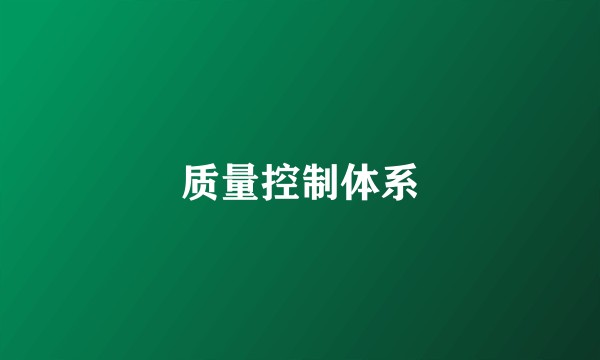 质量控制体系