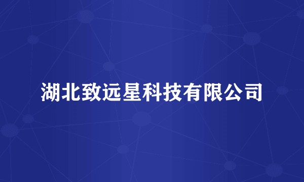 湖北致远星科技有限公司