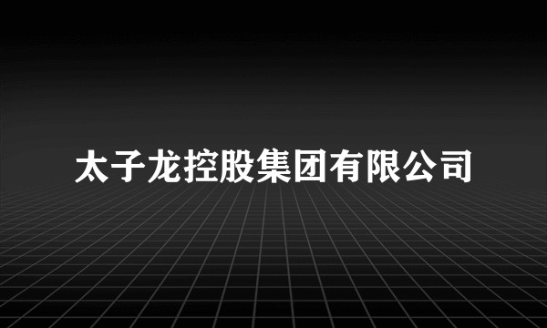 太子龙控股集团有限公司