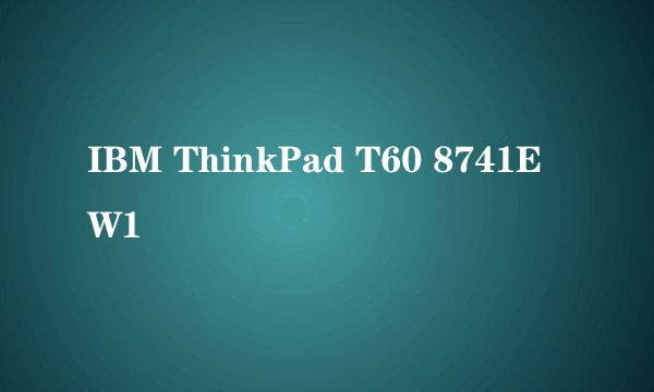 IBM ThinkPad T60 8741EW1