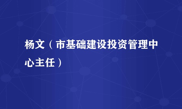 杨文（市基础建设投资管理中心主任）
