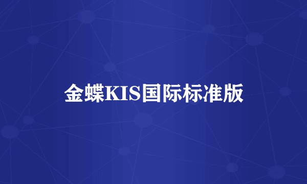金蝶KIS国际标准版