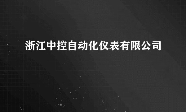 浙江中控自动化仪表有限公司