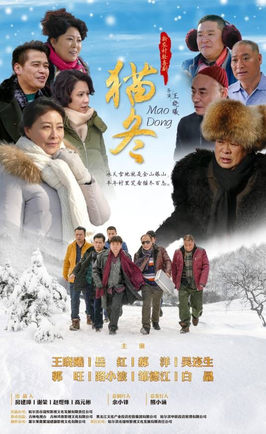 猫冬(2020年王晓曦执导的电视剧)