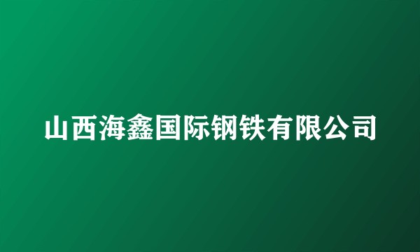 山西海鑫国际钢铁有限公司