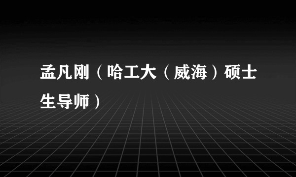 孟凡刚（哈工大（威海）硕士生导师）