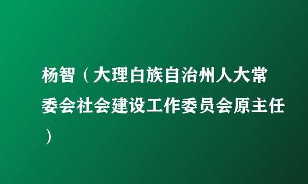 杨智（大理白族自治州人大常委会社会建设工作委员会原主任）