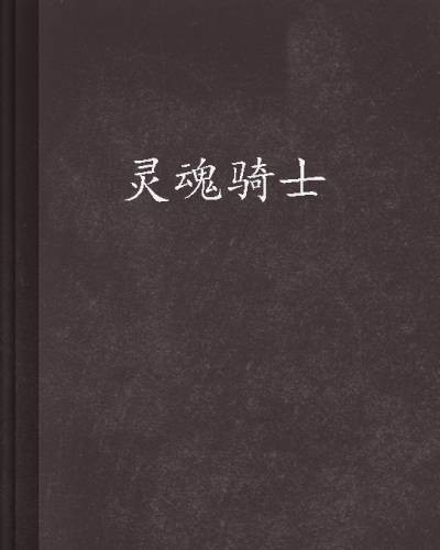 灵魂骑士（2005年长江文艺出版社出版的图书）