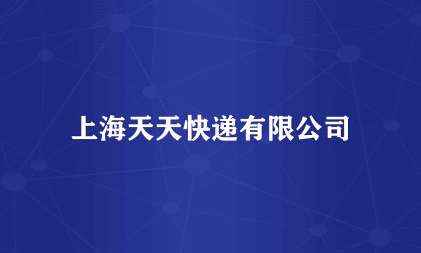 上海天天快递有限公司