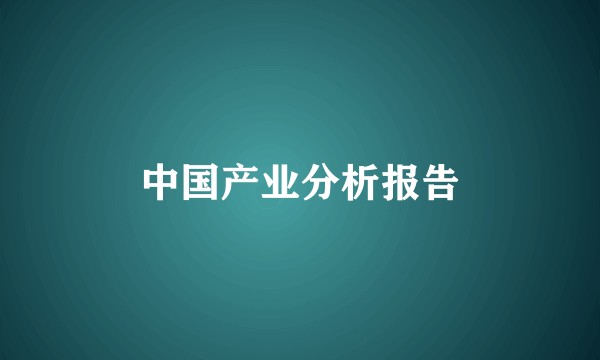 中国产业分析报告