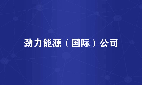 劲力能源(国际)公司