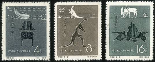 中国古生物