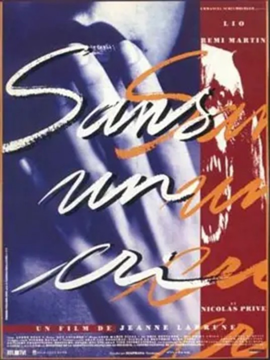 鸡同鸭讲(1992年的法语电影)