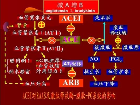 激肽释放酶