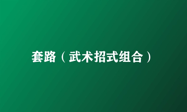 套路（武术招式组合）