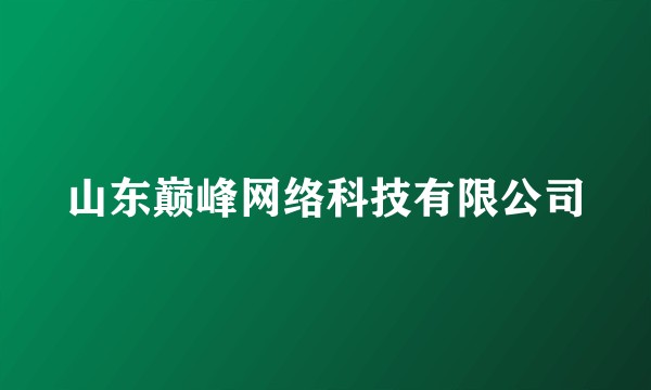山东巅峰网络科技有限公司