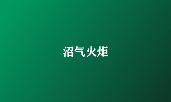 沼气火炬