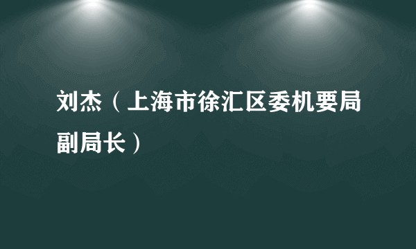 刘杰（上海市徐汇区委机要局副局长）