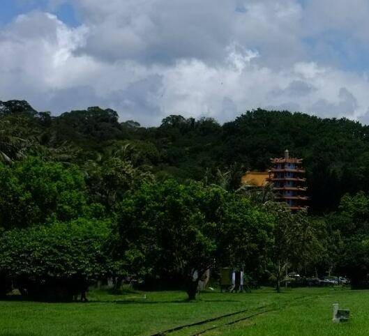 台东村(广东省汕尾市海丰县城东镇台下辖村)
