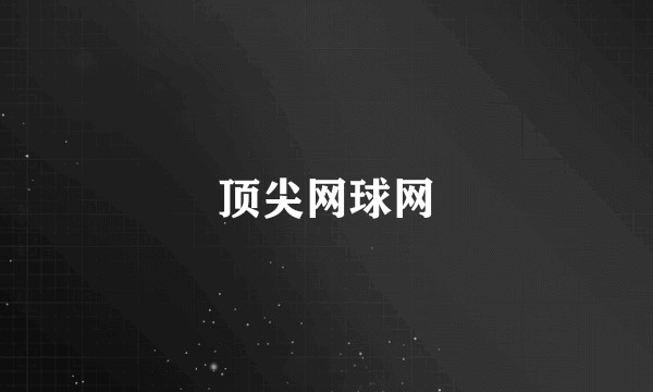 顶尖网球网