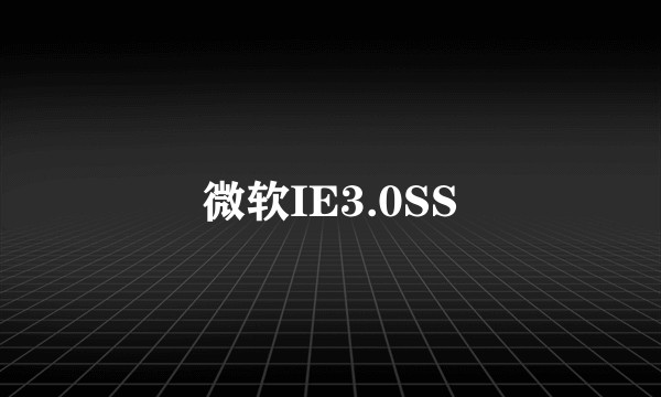 微软IE3.0SS