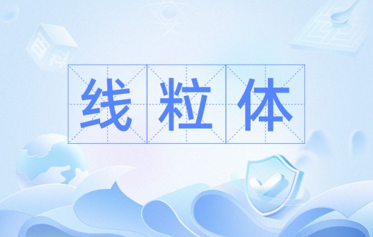 线粒体（线性卷积中值定律）