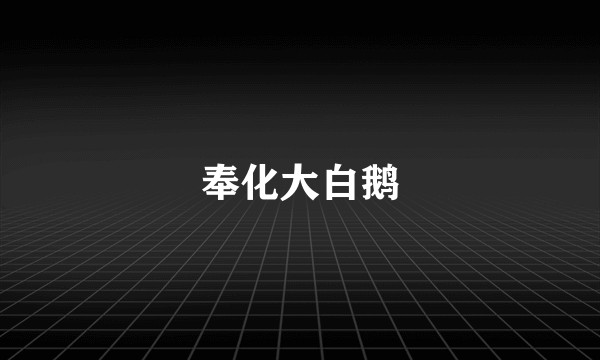 奉化大白鹅