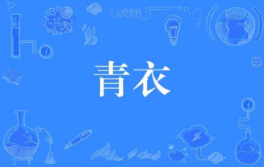 青衣（网络流行词）