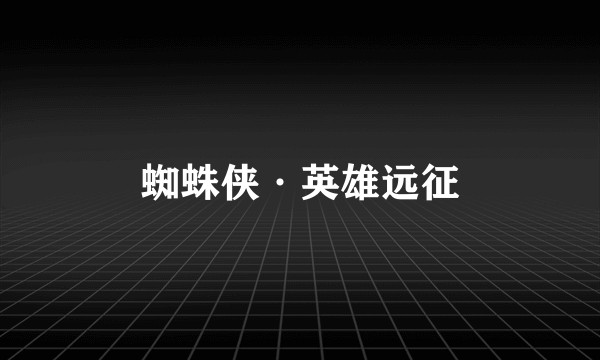 蜘蛛侠·英雄远征