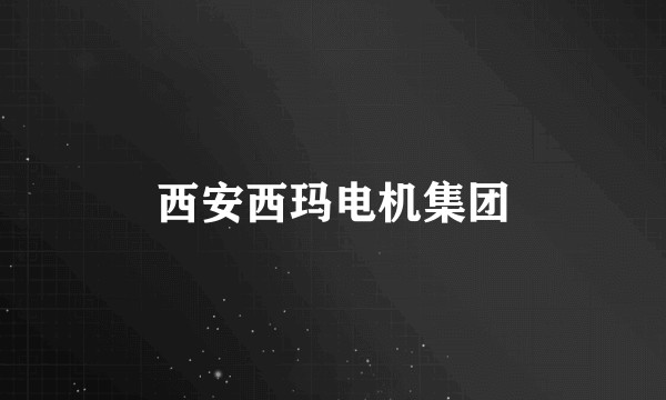 西安西玛电机集团