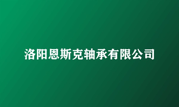 洛阳恩斯克轴承有限公司