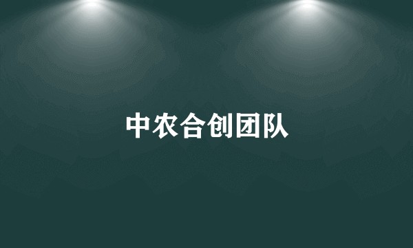 中农合创团队